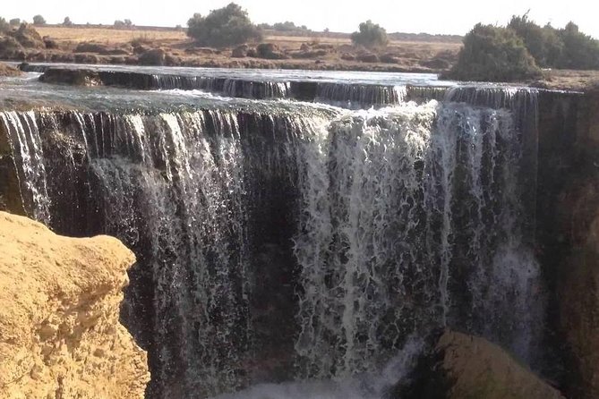 Valley of Whales and Wadi El Rayan Water Falls Day Tour From Cairo - Customer Experiences