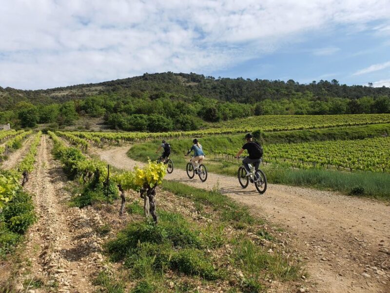 Vallon-Pont-dArc: Electric Bike Wine Tour & Tasting - Booking Information