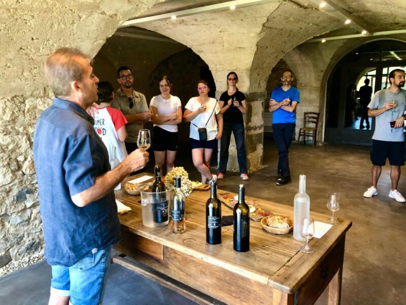 Vallon-Pont-dArc: Electric Bike Wine Tour & Tasting - Dining Options at Winemakers Table