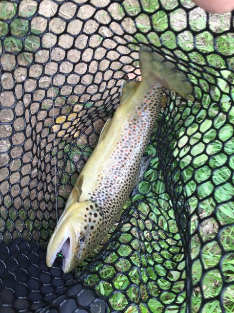 Valnerina: Fly Fishing Day With Guide - Traveling on Foot or Bicycle