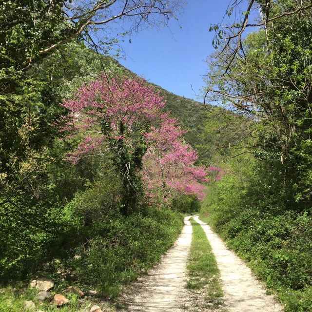 Valnerina: Fly Fishing Day With Guide - Inclusions and Exclusions