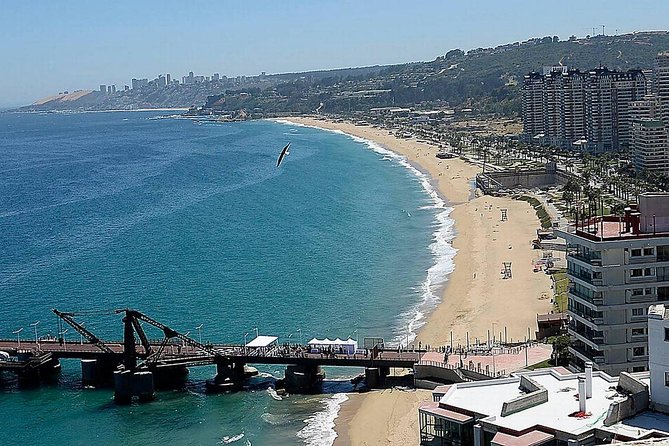 Valparaiso & Viña Del Mar City Tour Museum & Lunch FROM SANTIAGO - Culinary Experience