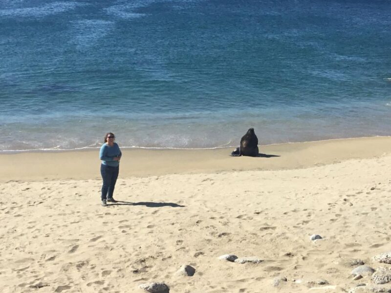 Valparaiso, Viña Del Mar, Winery, Sea Lions & Boat Ride - Viña Del Mar Attractions