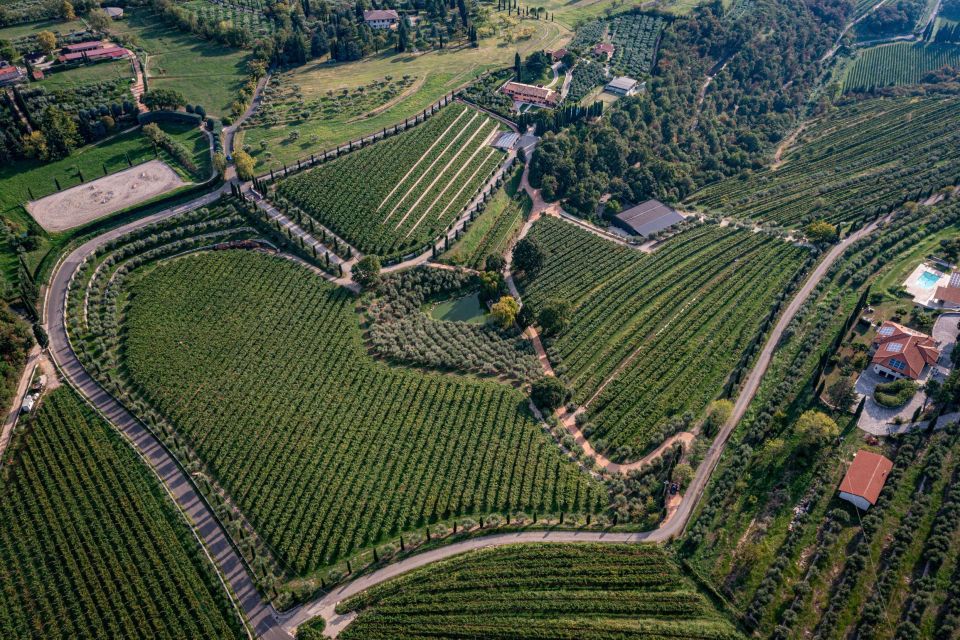 Valpolicella: Guided Tour & Exclusive Tasting – Hidden Gems - Key Points