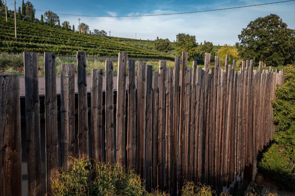 Valpolicella: Guided Tour & Exclusive Tasting – Hidden Gems - Discovering Roccolo Callistos Essence