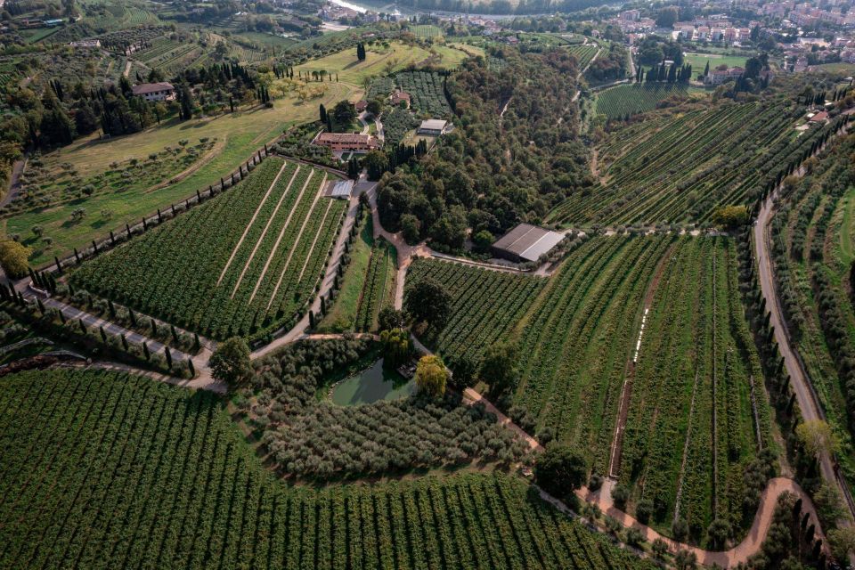 Valpolicella: Guided Tour & Exclusive Tasting – Hidden Gems - Pairing With Local Specialties