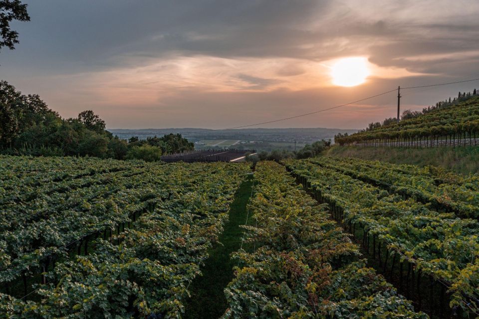 Valpolicella: Guided Tour & Exclusive Tasting – Hidden Gems - Cancellation Policy and Recommendations