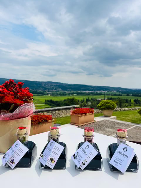 Valpolicella: Wine and Balsamic Dressing Tasting in Castrum. - Exploring Valpolicellas History