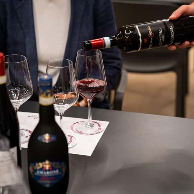 Valpolicella Wine Museum: E-bike rental with App and Tasting - Discover Verona’s Countryside on an E-Bike