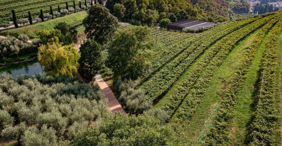 Valpolicella: Winery Tour, Blind Tasting & Light Lunch - Inclusions and Exclusions