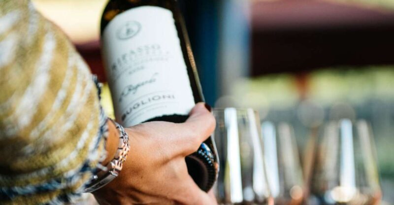 Valpolicella: Winery Tour with Red Wine&Cicchetti tasting - A Detailed Look at the Experience