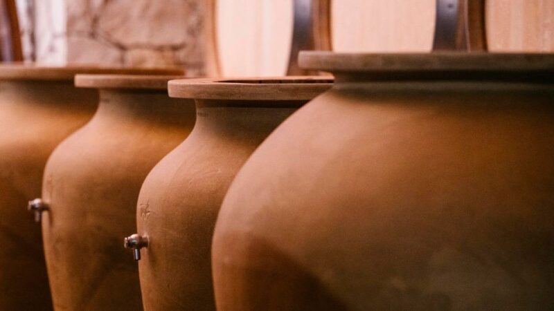 Valpolicella: Winery Tour with Red Wine&Cicchetti tasting - Who Will Appreciate This Tour?