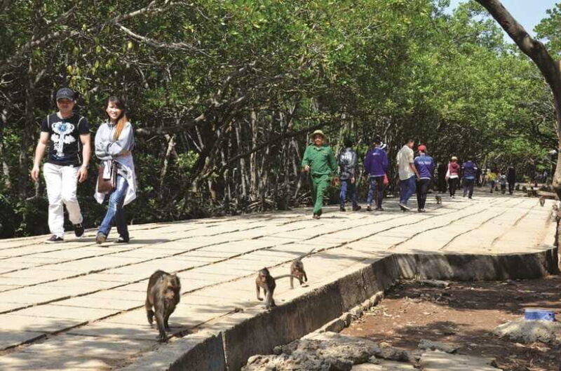 Vam Sat Biosphere & Monkey Island Tour From Sai Gon - Speedboat Ride to Sac Guerrilla Camp