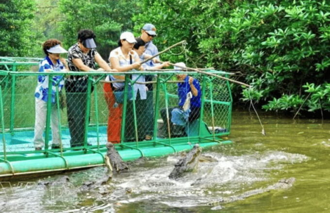 Vam Sat Biosphere & Monkey Island Tour From Sai Gon - Visiting the Mango Farm