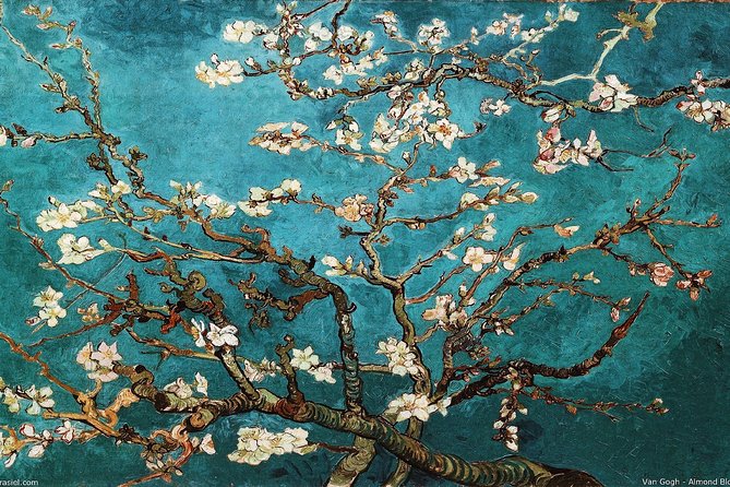 Van Gogh Museum Tour With Reserved Entry - Semi-Private 8ppl Max - Meeting and End Points