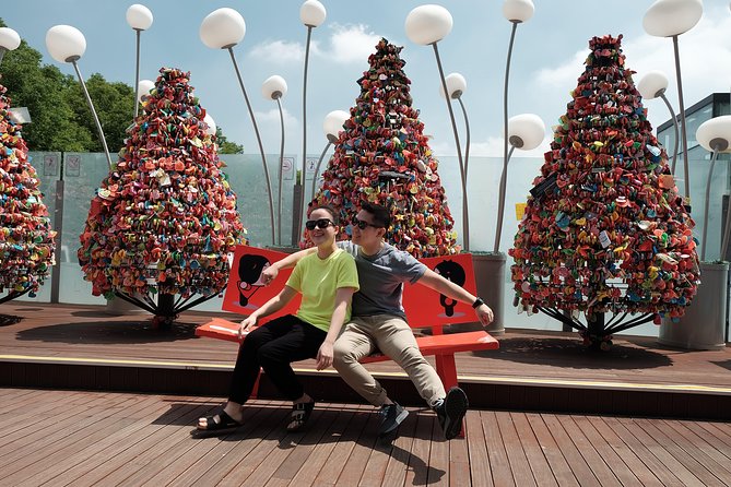 Van Tour in Seoul by Experts(Photography Option) - Photography Opportunities
