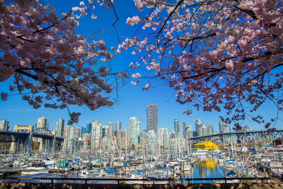Vancouver: 24 or 48-Hour Hop-On Hop-Off Trolley Tour Pass - Key Points