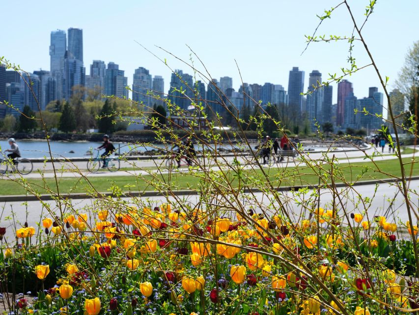 Vancouver: 24 or 48-Hour Hop-On Hop-Off Trolley Tour Pass - Operational Hours