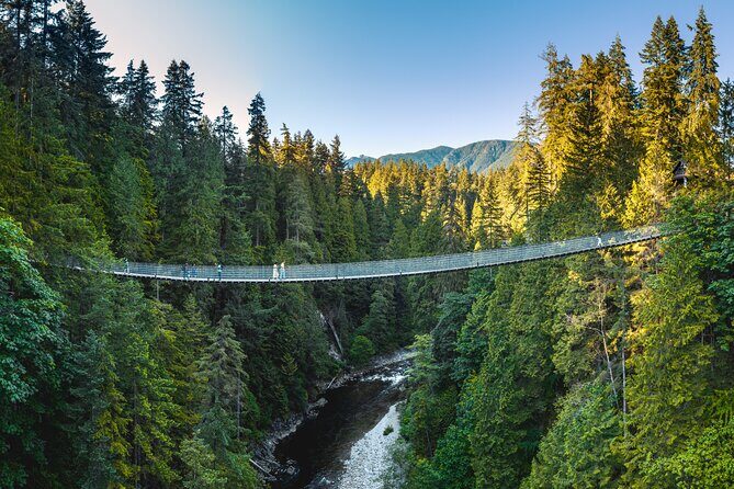 Vancouver and Capilano Suspension Bridge, a Soft Adventure Tour - Transport and Comfort: Why It Matters
