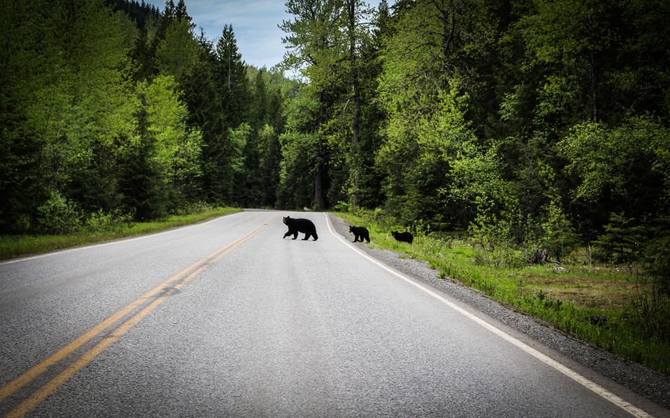 Vancouver and Kamloops: Smartphone Audio Driving Tour - Key Points