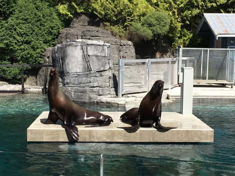 Vancouver Aquarium: Skip-the-Line Ticket - FAQ: Your Vancouver Aquarium Questions Answered