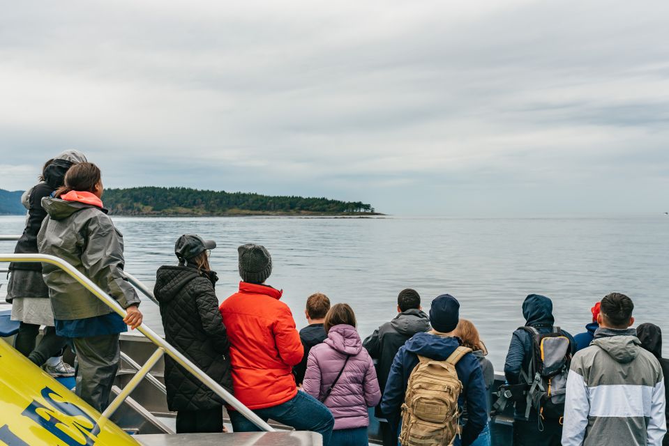 Vancouver, BC: Whale Watching Tour - Inclusions of the Tour Package