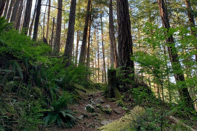 Vancouver Bike Tour - Stanley Park & the World-Famous Seawall - What to Expect on the Tour