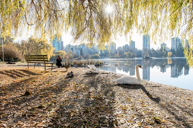 Vancouver Bike Tour - Stanley Park & the World-Famous Seawall - Tips for an Enjoyable Ride