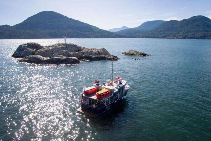 Vancouver: Boat Dive for Certified Diver, Tank & Weight Incl - Practical Tips for Your Dive Day