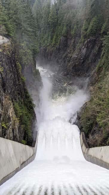Vancouver: Capilano Bridge, Cleveland Dam & Lynn Canyon Tour - The Sum Up