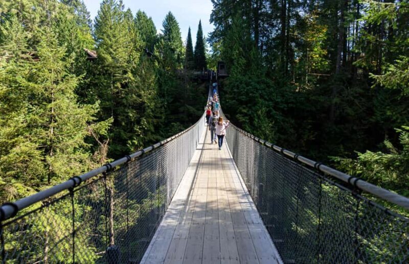 Vancouver: Capilano Bridge, Grouse Mountain & Aquabus Tour - An Overview of the Tour Experience