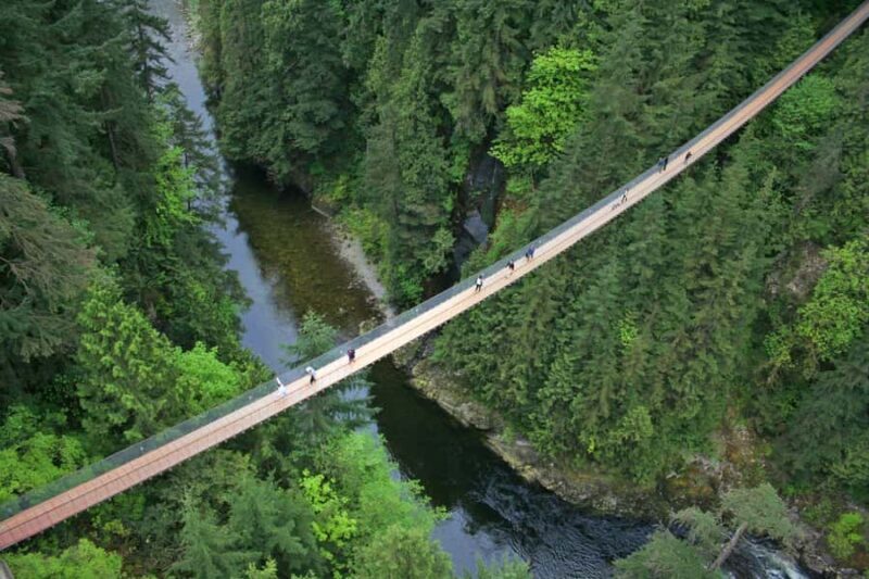 Vancouver: Capilano Bridge, Grouse Mountain & Aquabus Tour - What Travelers Say