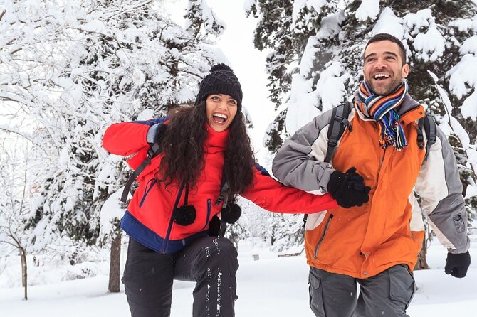 Vancouver Capilano Canyon Light and Peak of Christmas in Grouse Mountain - Booking Information