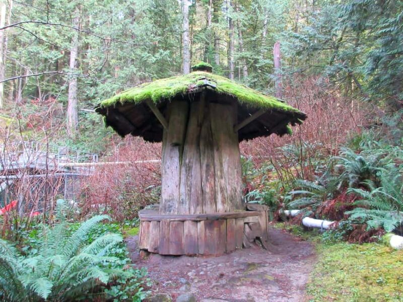 Vancouver: Capilano River Hatchery Love the Land Tour - Key Points