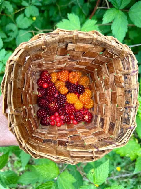 Vancouver: Capilano River Hatchery Love the Land Tour - Learning about Indigenous Ecology and Land Ethics