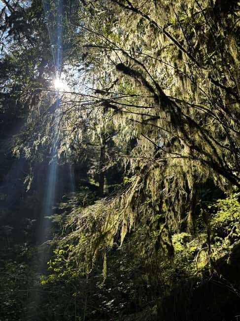 Vancouver: Capilano River Hatchery Love the Land Tour - Practical Details and Value
