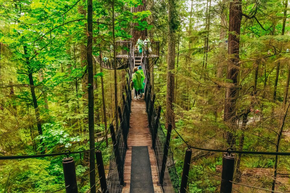 Vancouver & Capilano Suspension Bridge Sightseeing: Half-Day - Booking and Cancellation