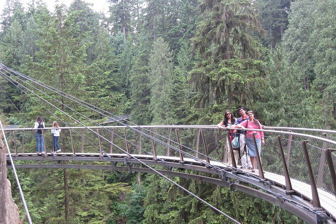 Vancouver, Capilano Suspension & Grouse Mountain Private Tour - Tour Experience