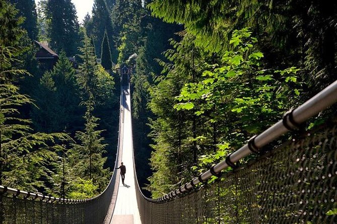 Vancouver, Capilano Suspension & Grouse Mountain Private Tour - Exploring City Highlights