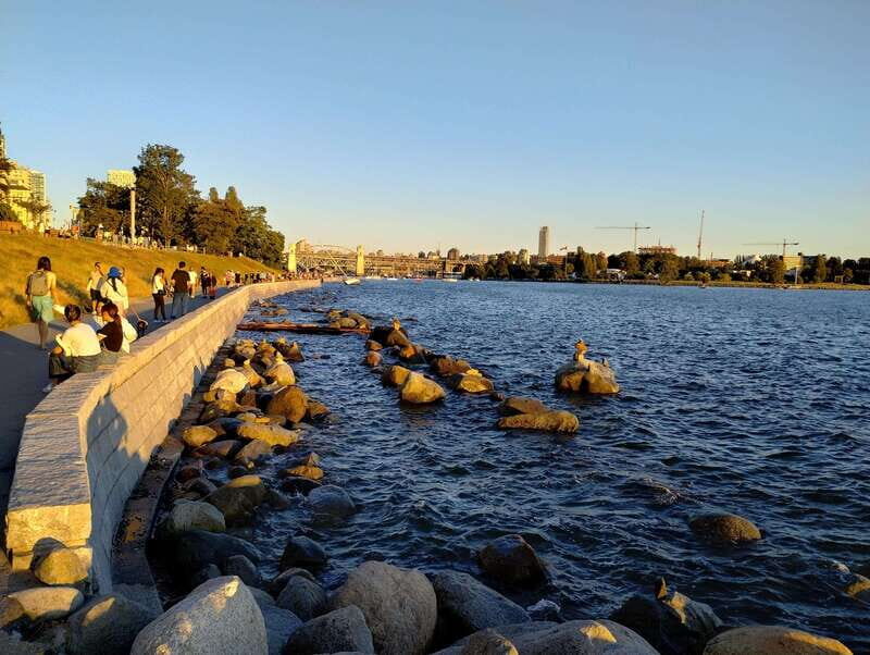 Vancouver Car Tour: See All City Attractions/Save Time&Money - Why You’ll Love This Tour