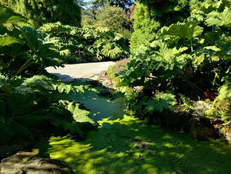 Vancouver Car Tour: See All City Attractions/Save Time&Money - Who Should Consider This Tour?