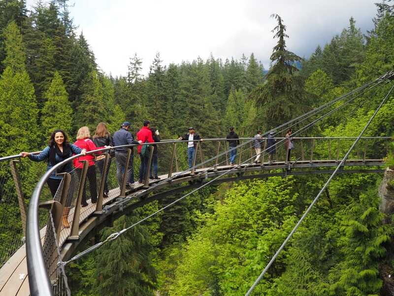 Vancouver City and Capilano Park Private Tour - Capilano Suspension Bridge and Treetops Adventure