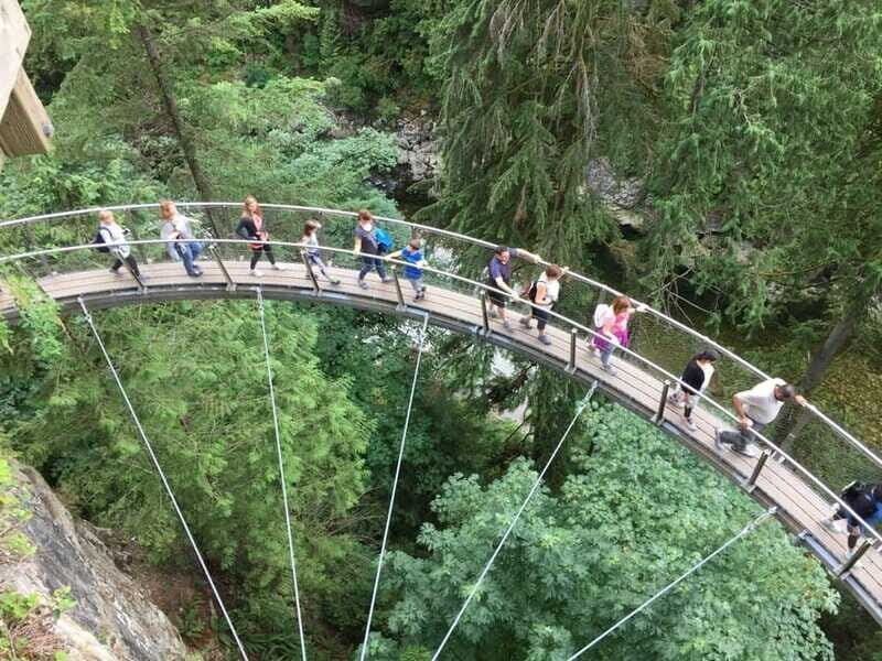 Vancouver: City and Mountain Adventure with Grouse Mountain - Who Will Enjoy This Tour?