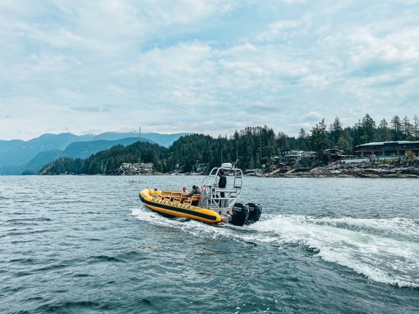 Vancouver: City and Nature Sightseeing RIB Tour - Boat Specifications and Speed