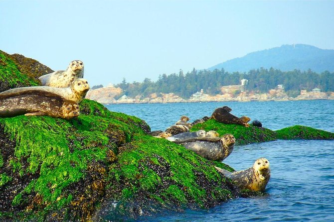 Vancouver City and Seals Scenic Boat Tour by Vancouver Water Adventures - Attractions Along the Journey