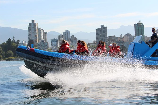 Vancouver City and Seals Scenic Boat Tour by Vancouver Water Adventures - Customer Experiences and Feedback