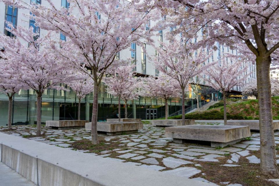 Vancouver: City, Beaches and Coastal Drive Self-Guided Tour - Frequently Asked Questions