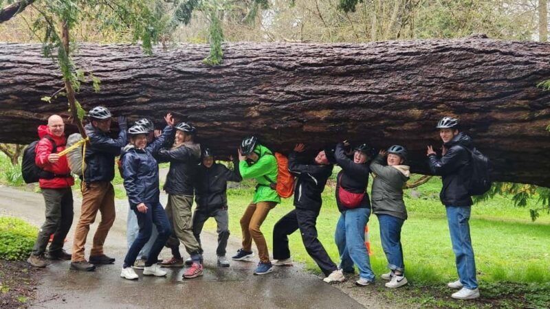 Vancouver: City Bike Tour | E-Bike Upgrade Avail. | 4-Hours - Key Points