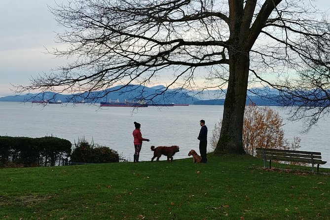 Vancouver City Highlights Explorer Private Tour - Physical Requirements