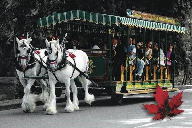Vancouver City Sightseeing -Kids Special Tour Private - Pricing and Cancellation